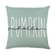 thumbnail image 1 of 1pc Halloween Cushion Pumpkin Print Throw Pillow Case, Blue Cushion Cover For Sofa, 100% Polyester,17.7x17.7inch (without Pillow Core), Home Decor, 1 of 5
