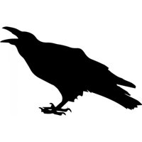 Rienda Libre Graphics - Decomural Cawing Raven Bird Ws-32901