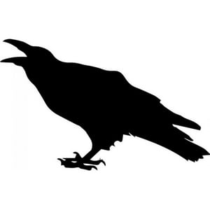 Rienda Libre Graphics - Decomural Cawing Raven Bird Ws-32901