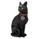 thumbnail image 2 of Figurilla Pacific Giftware Gato Negro de 31 cm con Encanto Wicca, 2 of 3