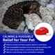 thumbnail image 4 of Animal de Peluche Pet Fit For Life de 30 cm con Simulador de Latido, 4 of 7