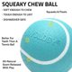 thumbnail image 2 of Juguete para perro Playology Bola chirriante mediana, paquete de 2, aroma a mantequilla de maní, 2 of 6
