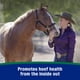 thumbnail image 3 of Suplemento En Pellets Para Cascos Horseshoers Secret 17 2 Kg, 3 of 9