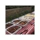 thumbnail image 2 of Set de buffet Sterno 53 cm x 8 cm, plateado, 2 of 5