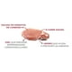 thumbnail image 2 of Alimento Perro Balanced de Cerdo 3kg, 2 of 2