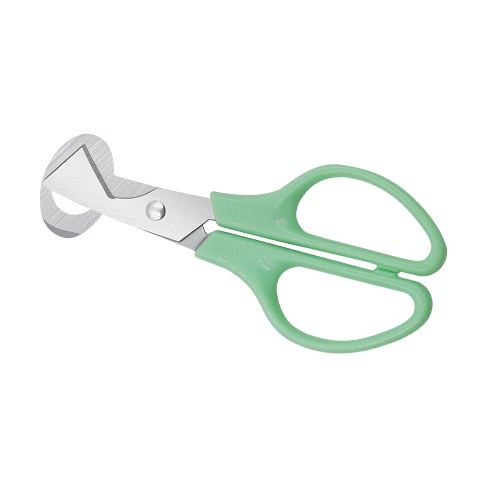 Magideal - Separador De De Cáscara De Huevo De Acero Inoxidable, Tijeras Para Huevos De Codorniz, De Huevos De Paloma Para Utensilios De Cocina,