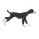 thumbnail image 4 of 1:64 Escala Modelo Pintado A Mano Mini Perro Peque?o Modelo Animal Adornos Style9, 4 of 5