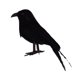 thumbnail image 4 of Cuervo Negro Pájaro Artificial Prop Adorno De Jardín Decoración De Fiesta De Halloween, 4 of 5