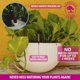 thumbnail image 5 of Maceta colgante GARDENIX DECOR 28 cm autoriego blanca, 5 of 8
