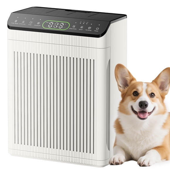 Purificador de Aire Evalit 204 m² Lavable Marfil