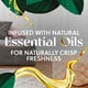 thumbnail image 3 of Kit de inicio de aceite perfumado Air Wick Plug in Fresh Linen, 3 of 3