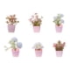 thumbnail image 1 of 6 Miniplantas Artificiales En Maceta Para Escritorio, Estilo Rústico, Para Exteriores., 1 of 5