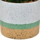 thumbnail image 3 of Suculenta Decorativa Maceta Artdeco, 3 of 4