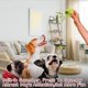 thumbnail image 2 of Pelotas de Tenis para Perro con Sonido INSUM Multicolor Paquete de 20 Tamaño Mediano, 2 of 7