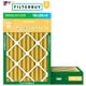 thumbnail image 1 of Filtro de aire Filterbuy MERV 11 16 x 25 x 4 (paquete de 2) Allergen Defense, 1 of 9