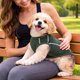 thumbnail image 5 of Playera tipo tank top para perro Pet Life ® Active Racerbark, 5 of 9