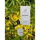 thumbnail image 2 of Perfume Zakat Z-12 Eau de Parfum en spray 100 ml Clean, 2 of 2
