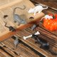 thumbnail image 5 of Juguetes de broma para fiestas con forma de rata falsa para Halloween, 33 unidades, 5 of 6