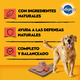 thumbnail image 3 of Lata Pedigree Para Perros Adultos Carne 24 Un., 3 of 7