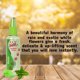 thumbnail image 4 of Colonia Pet Silk Rainforest 350 ml desodorante para perros y gatos, 4 of 7