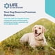 thumbnail image 5 of Suplemento Life Extension Dog Mix de nutrición diaria, 100 g, 5 of 8