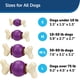 thumbnail image 5 of Toy PetSafe Busy Buddy Bouncy Bone para perros, color morado, pequeño, 5 of 6