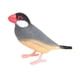 thumbnail image 2 of Modelo De Pájaro, Juguete De Pájaro De Jardín Para Decoración De Tartas Con Micropaisaje, Accesorios Para Fotos, Estilo A, 2 of 5
