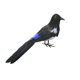 thumbnail image 1 of Aves De Bosque Realistas Artificiales Para Decoración De Hogar De Jardín Weding 22cm, 1 of 5