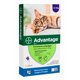 thumbnail image 1 of Advantage Pipeta Antipulgas Gato 4 A 8 Kg, 1 of 1
