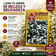 thumbnail image 4 of Semillas Ilusión de los Floristas Jardín Las Encinas, 4 of 5