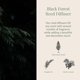 thumbnail image 3 of Difusor de varillas Black Forest de Archipelago Botanicals 237 ml con tapa negra, 3 of 8