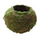 thumbnail image 2 of Maceta Creativa Con Forma De Bola De Musgo, Soporte Para Plantas Bonsái, Hogar Y Jardín, 6cm, 2 of 3