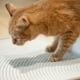 thumbnail image 3 of Pidan® Alfombra Para Arena De Gato Antideslizante Silicona, 3 of 3