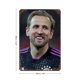 thumbnail image 2 of Cartel de Metal Harry Kane Decoración de Pared 30x20 cm, 2 of 6