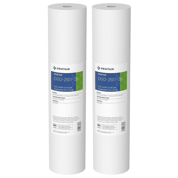 Filtro de agua Pentair Pentek DGD-2501-20 Big Blue 1 Micron
