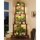 thumbnail image 1 of Soporte para Plantas Bamworld Esquinero de Madera de 4 Niveles con Luz de Cultivo, 1 of 8