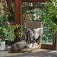 thumbnail image 4 of Cat Scratcher FUKUMARU en forma de L montado en la pared con pelota de juguete, 4 of 7