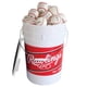 thumbnail image 1 of Baseball Rawlings ROLB1X Official League 14U Youth x24 con cubo, 1 of 9