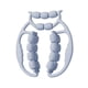 thumbnail image 1 of Rodillo Masajeador De Piernas De 21 Ruedas Para Entrenamiento Muscular, Muslos Y Pantorrillas, Gimnasio, Azul, 1 of 5