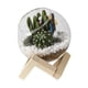 thumbnail image 5 of Maceta De Cristal Con Adornos Florales, Maceta Creativa Para Jardín Al Aire Libre, Hotel, 10cm, 5 of 5