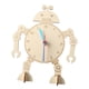 thumbnail image 3 of Kits De Experimentos Científicos Modelo De Reloj DIY Para Adolescentes Recuerdos De Fiesta Para Principiantes, 3 of 5