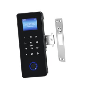 Bothyi - Cerradura Inteligente Con Huella Dactilar, Cerradura De Puerta De Cristal Inteligente Para El Hogar, Apartamento, Puerta Del Dormitorio, Puerta Abierta Izquierda