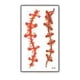 thumbnail image 1 of Tatuaje Temporal Halloween Cosplay Disfraz - Herida - 3f, 1 of 1