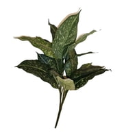 Corel - Ramo De Planta Acuba 55 Cm