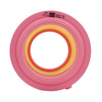 Repuestos Del Sol - Filtro Aire Hyundai Porter Au 2.5 1999 2000