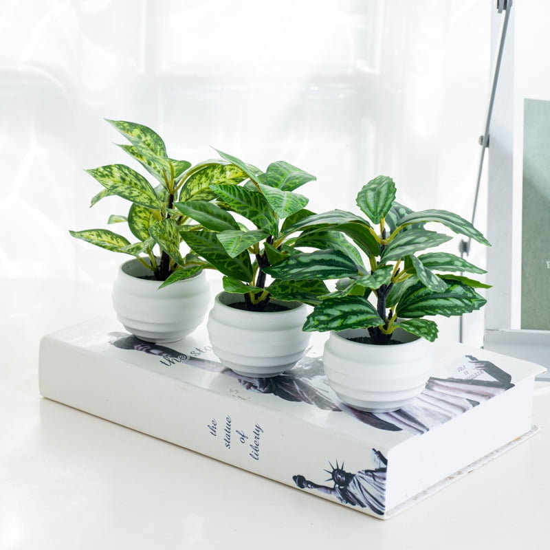 Xusx111 - 5.11 Pulgadas 3 Piezas Pequeñas Plantas Falsas Artificiales Planta En Maceta Interior Faux Planta Tropical Para La Oficina Del Hogar Mesa Estante Escritorio Décor