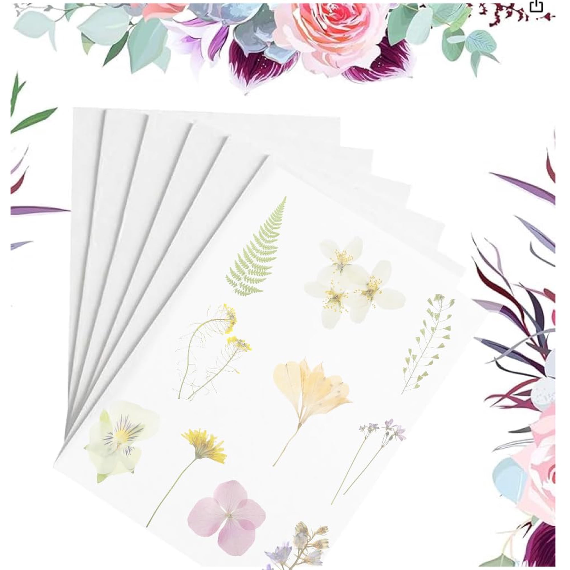 Planchas De Secado Flower Press Suziko, 6 Capas, 2 Mm De Grosor