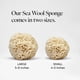 thumbnail image 3 of Esponja de lana marina, espuma, exfoliante corporal natural, 3 of 9