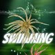 thumbnail image 4 of Cebo blando erizo mar 4 uds realista dados peludos flotante TPR pesca lubina, 4 of 7