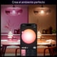 thumbnail image 2 of Bombilla LED inteligente Philips Hue Essential A19 E26 8.8W 800 lúmenes, 2 of 7